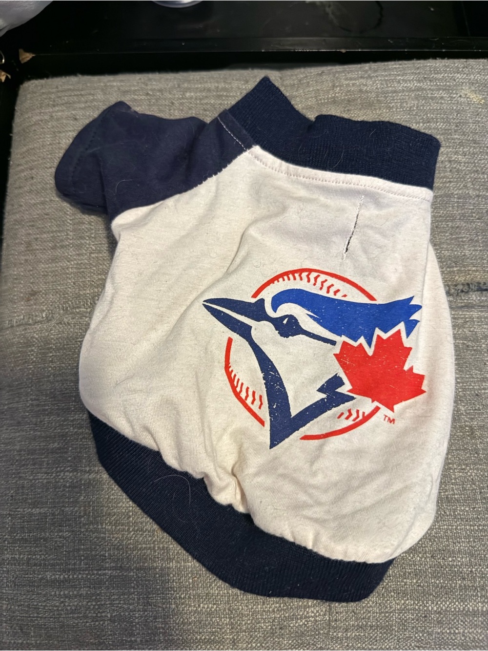 XS Blue Jays pet shirt